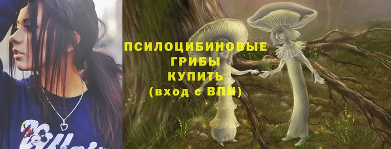 Галлюциногенные грибы Cubensis  Старая Русса 