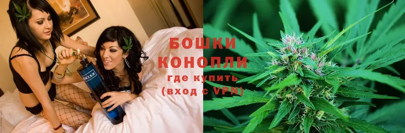 купить наркотик  Старая Русса  Бошки Шишки OG Kush 